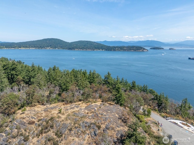 805 36th St, Anacortes, WA 98221 - photo 36
