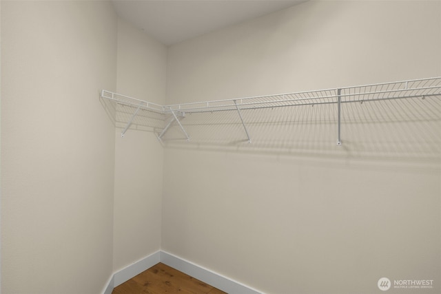220 1st St Unit 204, Kirkland, WA 98033 - spacious closet featuring wood finished floors