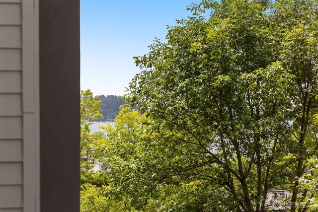 220 1st St Unit 204, Kirkland, WA 98033 - water view