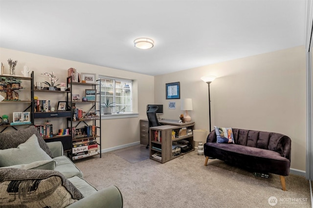 5906 28th Ave NW, Seattle, WA 98107 - photo 27
