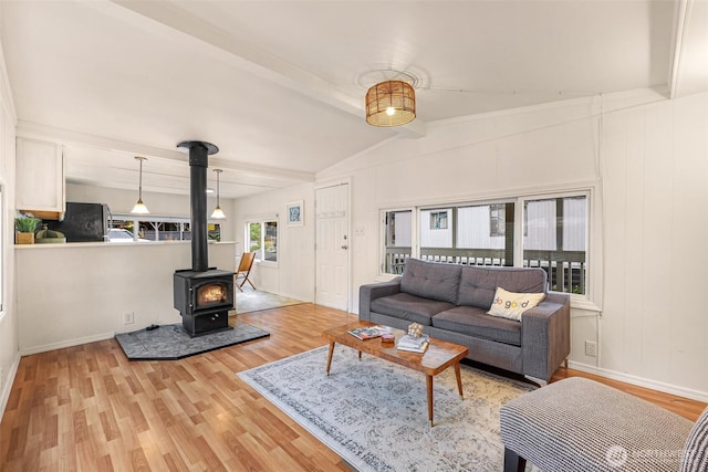 316 W Lake Samish Dr Unit 21, Bellingham, WA 98229 - living room with a wood stove and wood finished floors