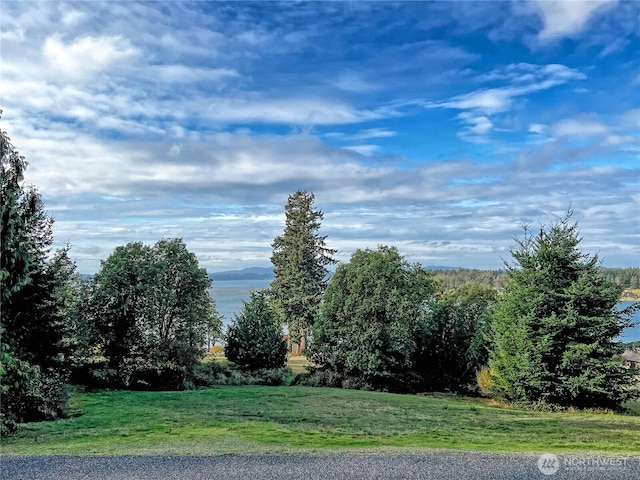 4 Rum Runner, Lopez Island, WA 98261