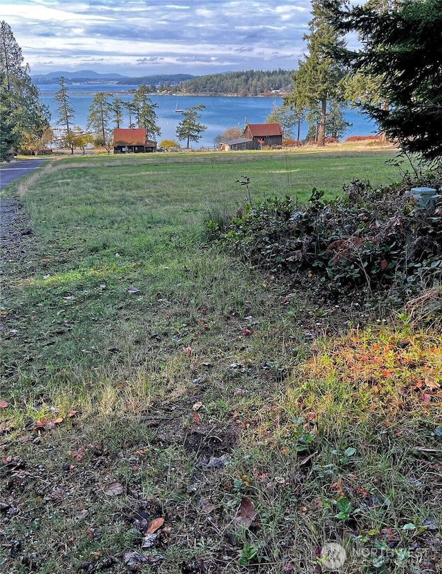 4 Rum Runner, Lopez Island, WA 98261