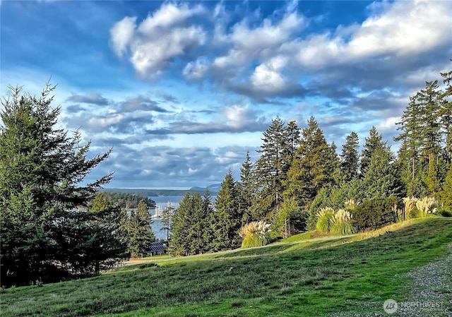 4 Rum Runner, Lopez Island, WA 98261