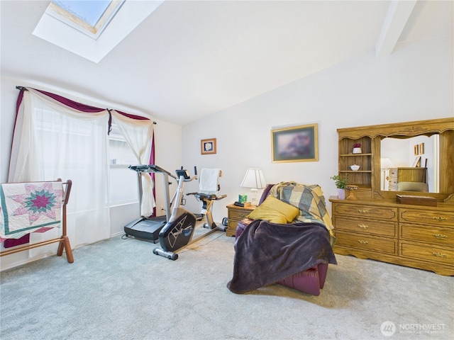 6704 243rd Ave E Unit 96, Buckley, WA 98321 - exercise room featuring lofted ceiling, carpet floors, and a skylight