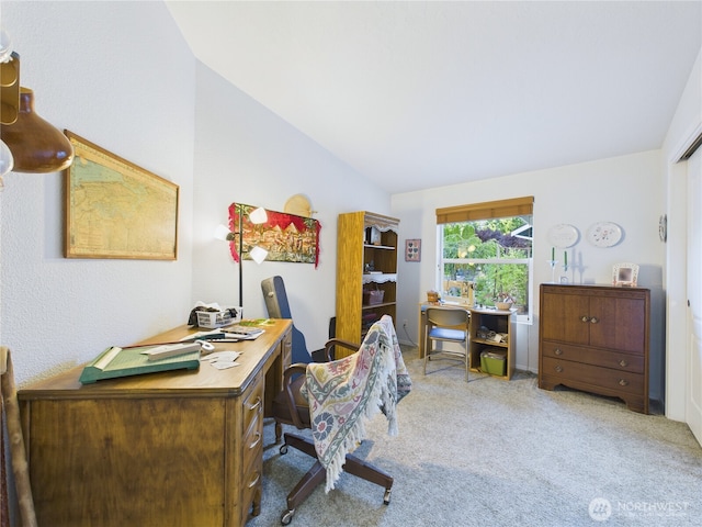 6704 243rd Ave E Unit 96, Buckley, WA 98321 - carpeted home office featuring lofted ceiling
