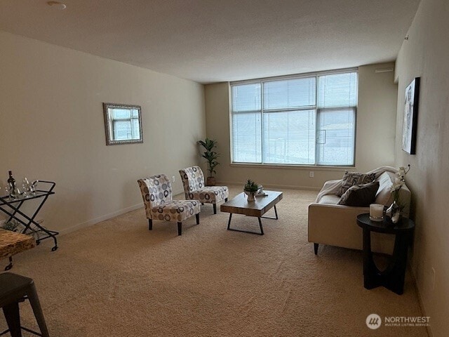 1515 Dock St Unit 210, Tacoma, WA 98402 - carpeted living room with baseboards