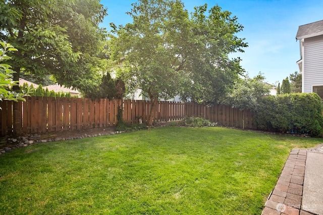 27370 245th Ave SE, Maple Valley, WA 98038 - photo 19