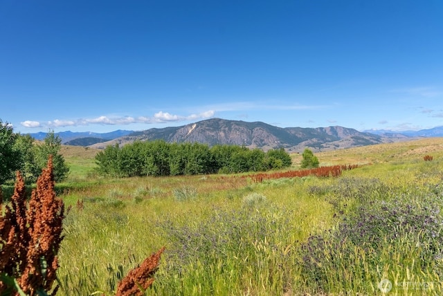 121 Finley Canyon Rd, Twisp, WA 98856