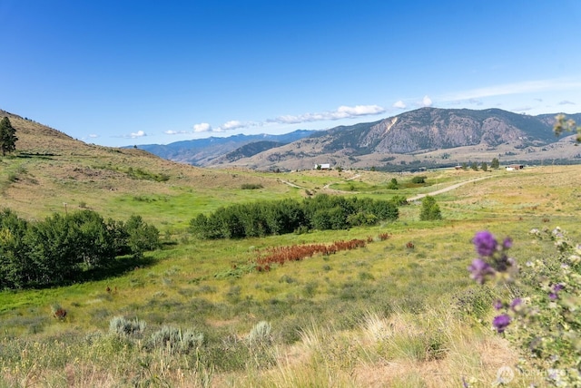 121 Finley Canyon Rd, Twisp, WA 98856