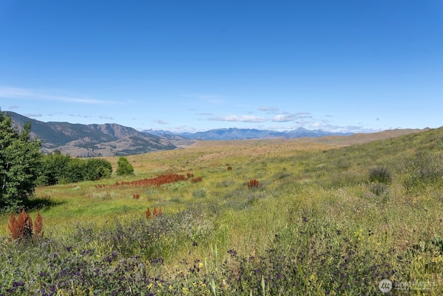 121 Finley Canyon Rd, Twisp, WA 98856