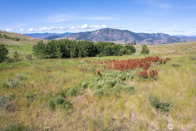 121 Finley Canyon Rd, Twisp, WA 98856