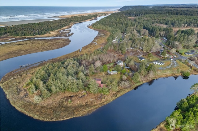 11 Condra Rd, Copalis Beach, WA 98535 - aerial view of property's location featuring a large body of water and a heavily wooded area