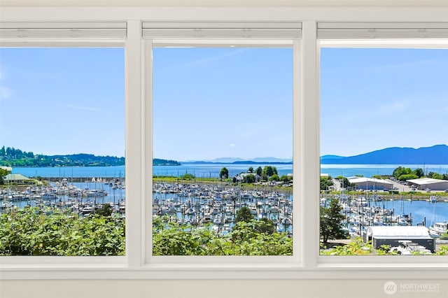 2011 Eldridge Ave, Bellingham, WA 98225 - water view with numerous boat docks and mountains