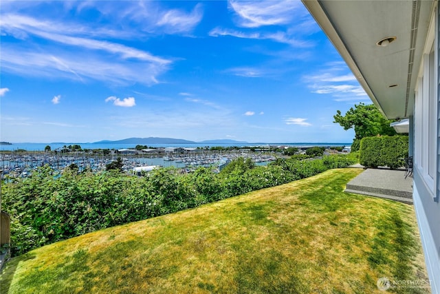 2011 Eldridge Ave, Bellingham, WA 98225 - view of grassy yard with a water and mountain view
