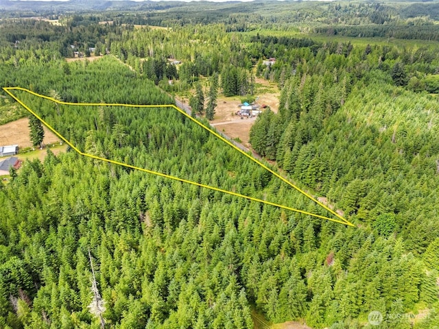 0LOTA W Satsop Rd E, Elma, WA 98541 - photo 3