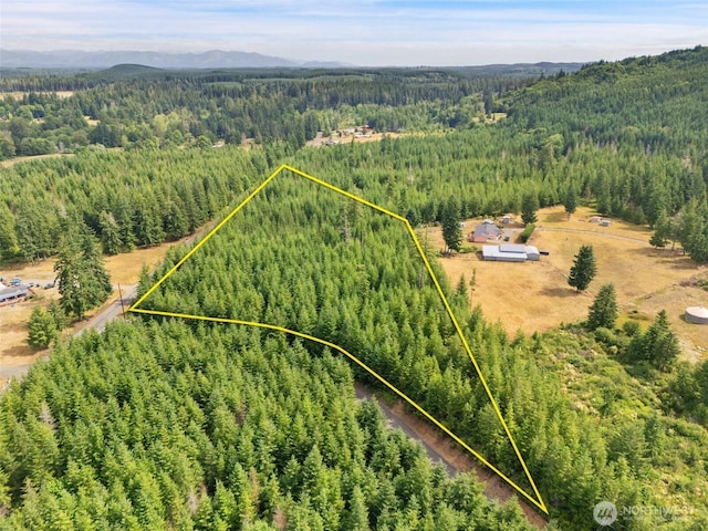 0LOTA W Satsop Rd E, Elma, WA 98541 - photo 4