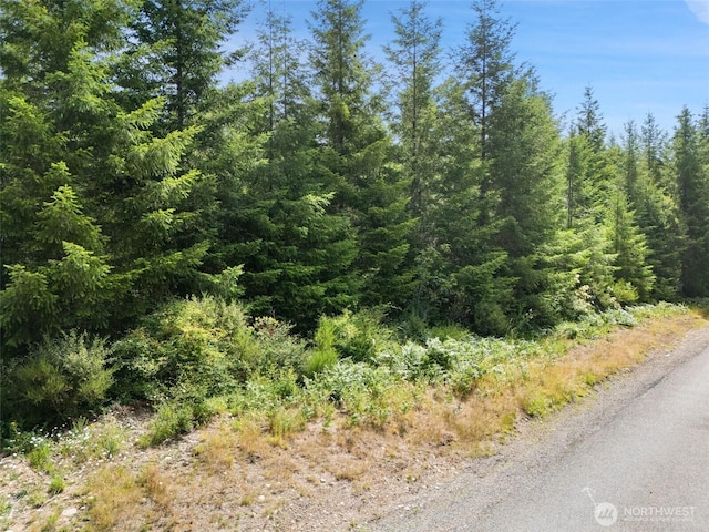 0LOTA W Satsop Rd E, Elma, WA 98541 - photo 2