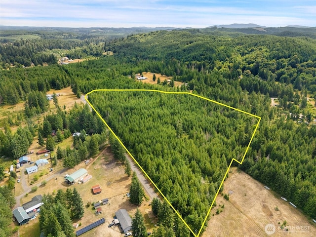 0LOTB W Satsop Rd E, Elma, WA 98541 - photo 1
