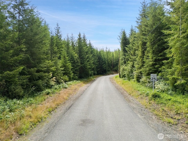 0LOTB W Satsop Rd E, Elma, WA 98541 - photo 4