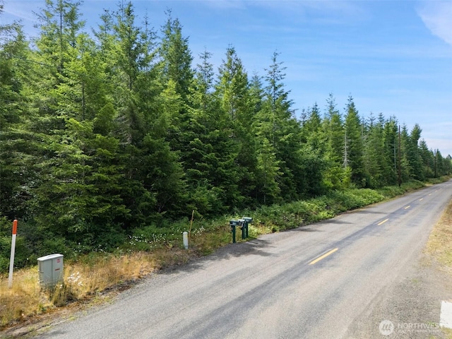 0LOTB W Satsop Rd E, Elma, WA 98541 - photo 5