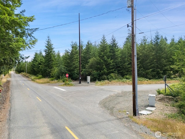 0LOTB W Satsop Rd E, Elma, WA 98541 - photo 6
