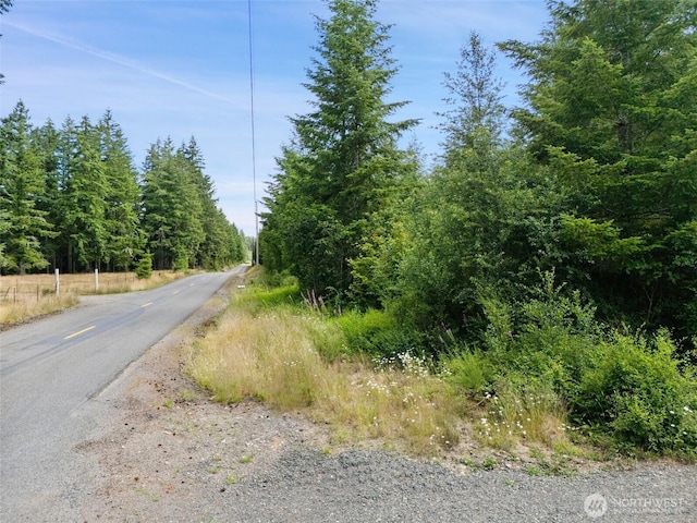 0LOTB W Satsop Rd E, Elma, WA 98541 - photo 8