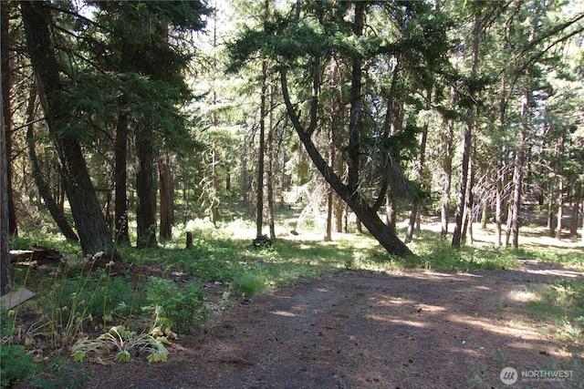 0 Elk Springs Rd, Ellensburg, WA 98926 - photo 12