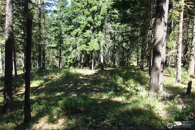 0 Elk Springs Rd, Ellensburg, WA 98926 - photo 13
