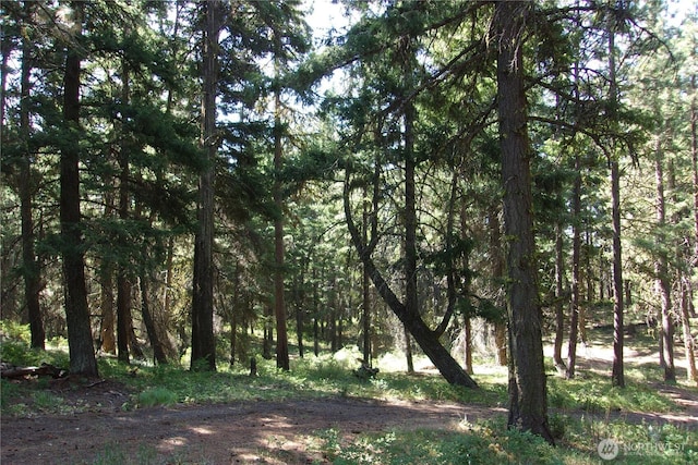 0 Elk Springs Rd, Ellensburg, WA 98926 - photo 14