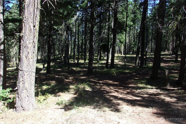 0 Elk Springs Rd, Ellensburg, WA 98926 - photo 15