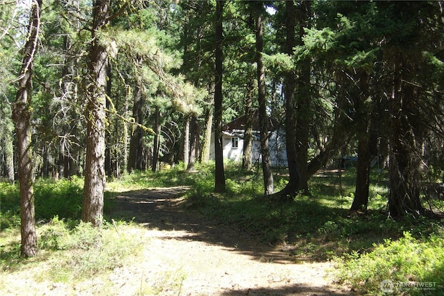 0 Elk Springs Rd, Ellensburg, WA 98926 - photo 28