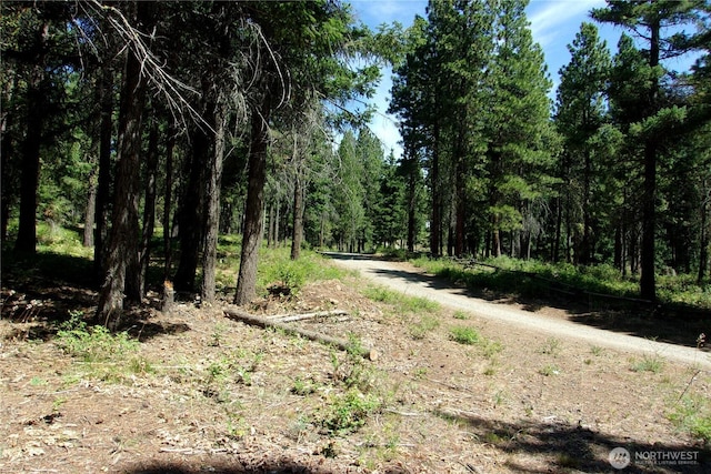 0 Elk Springs Rd, Ellensburg, WA 98926 - photo 30