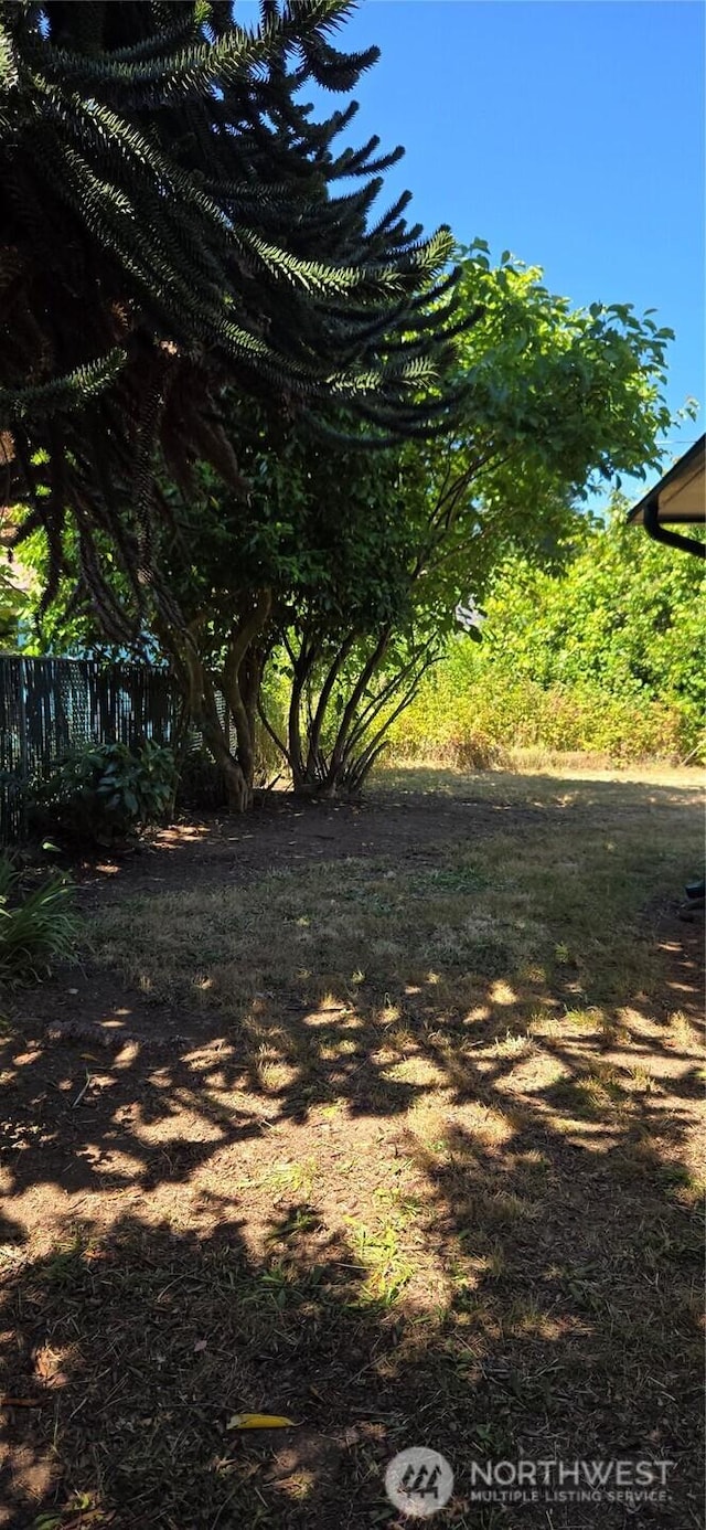 413 N Main St, Montesano, WA 98563 - photo 16