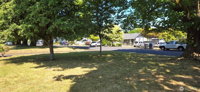 413 N Main St, Montesano, WA 98563 - photo 19