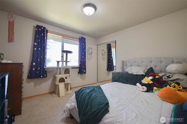 12249 Marshall Rd SE, Tenino, WA 98589 - photo 13