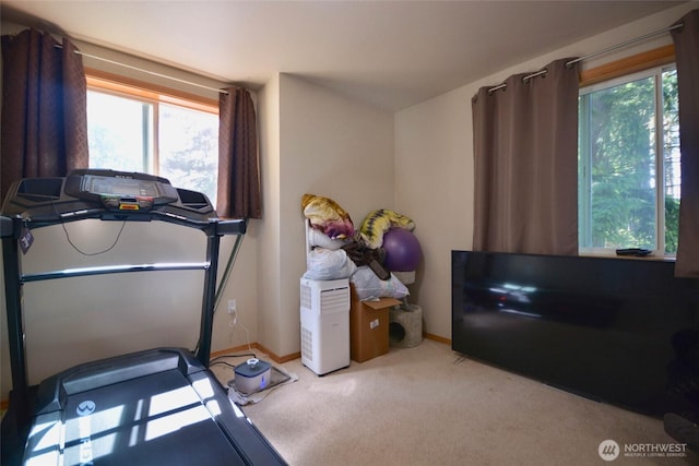 12249 Marshall Rd SE, Tenino, WA 98589 - photo 14