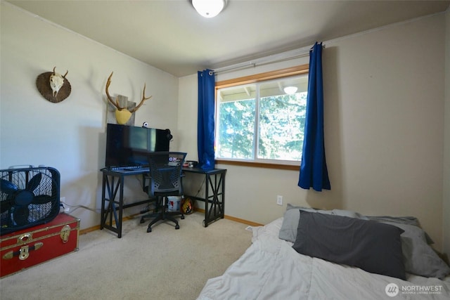 12249 Marshall Rd SE, Tenino, WA 98589 - photo 15