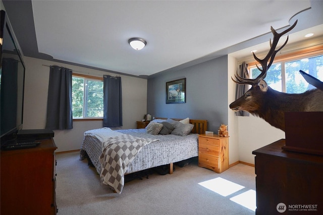 12249 Marshall Rd SE, Tenino, WA 98589 - photo 16