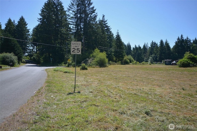 12249 Marshall Rd SE, Tenino, WA 98589 - photo 30