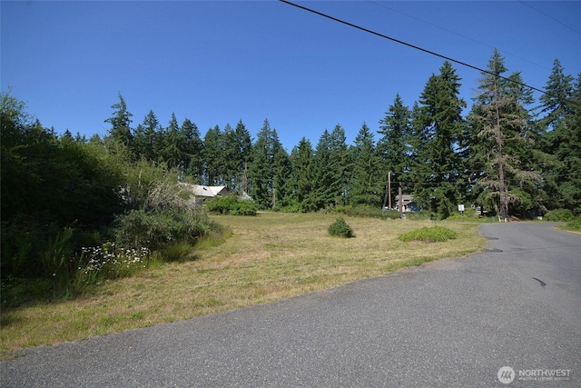 12249 Marshall Rd SE, Tenino, WA 98589 - photo 31