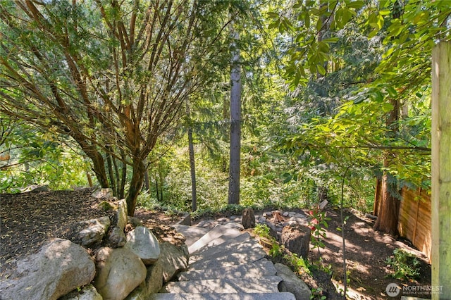 14517 SE 41st Ln, Bellevue, WA 98006 - view of yard