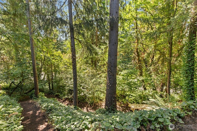 14517 SE 41st Ln, Bellevue, WA 98006 - view of wooded area