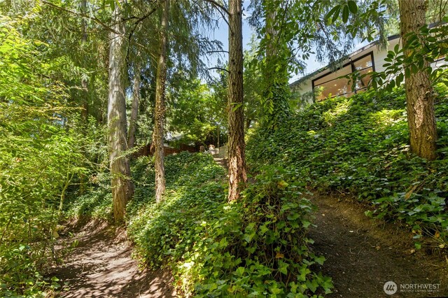 14517 SE 41st Ln, Bellevue, WA 98006 - view of local wilderness