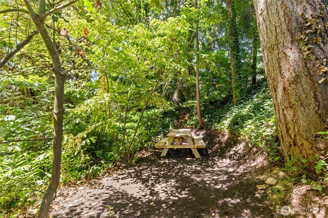 14517 SE 41st Ln, Bellevue, WA 98006 - view of property's community