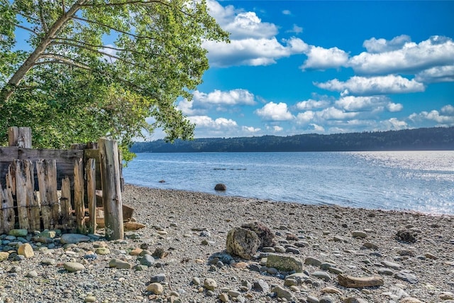 17447 Paige Ln SW, Vashon, WA 98070