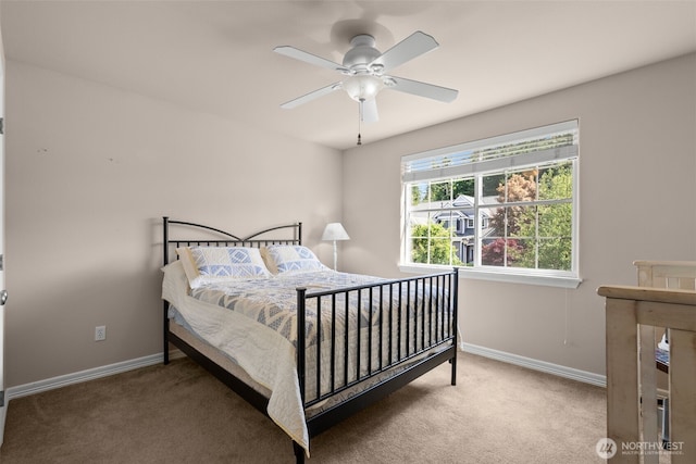23934 SE 284th St, Maple Valley, WA 98038 - photo 19