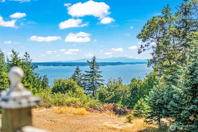 19312 58th St SW, Longbranch, WA 98351 - photo 1