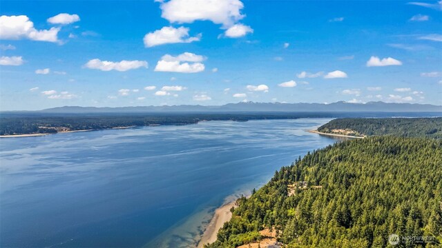 19312 58th St SW, Longbranch, WA 98351 - photo 36