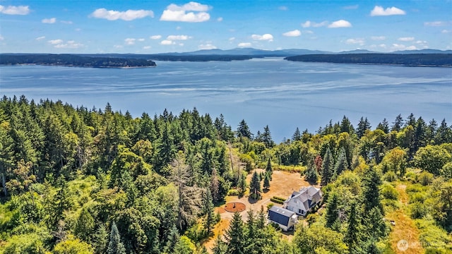 19312 58th St SW, Longbranch, WA 98351 - photo 37
